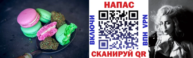 mega как зайти  купить закладку  Валдай  мориарти телеграм  Cannafood конопля 