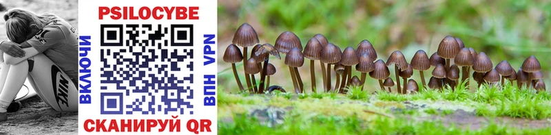 Галлюциногенные грибы Psilocybine cubensis  hydra ссылка  Валдай 